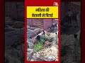 महिला की बेरहमी से पिटाई #ViralVideo #CCTVViral #CrimeNews #LandDispute #WomanAssaulted #shortvideo - Video