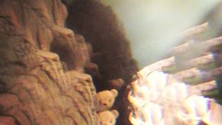 Moses Sumney - Dwell In the Dark