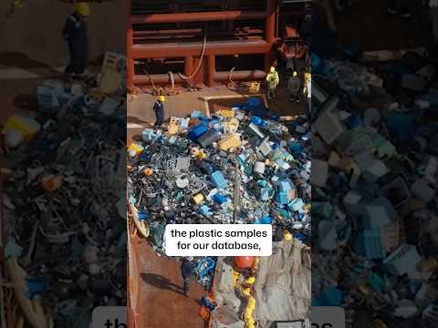 The importance of open-source data in ocean plastic research