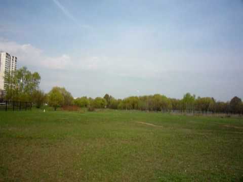 Crazy Hound Dog and Vintic's Successfull landing