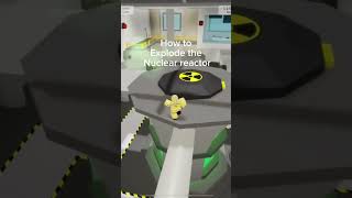 How to explode the nuclear reactor in  Brookhaven