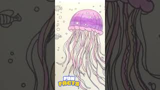 Jellyfish Drift Along - relaxing coloring video