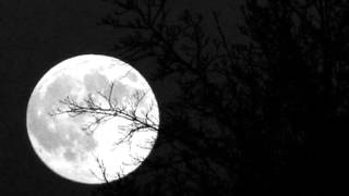 The Beatles - Dig a Pony