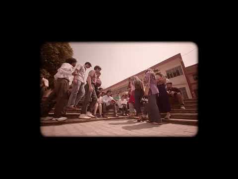 Vishal Sharma  My work