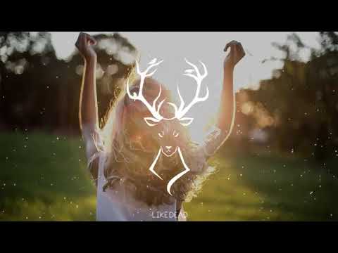 39 Kingdom & Reunify Feel It In My Heart feat  Elgo Dance & EDM