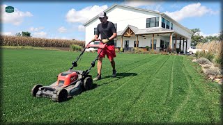 A Brand NEW LAWN In Only ONE MONTH