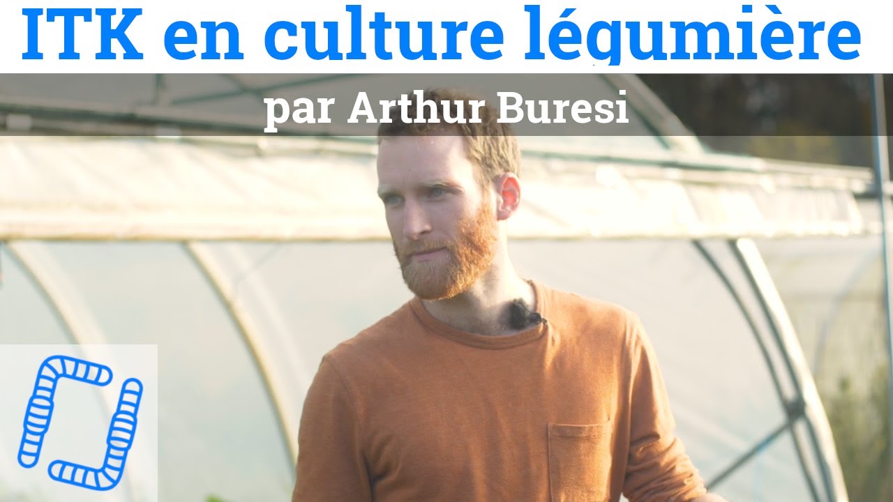 Itinéraires techniques en culture légumière, par Arthur Buresi