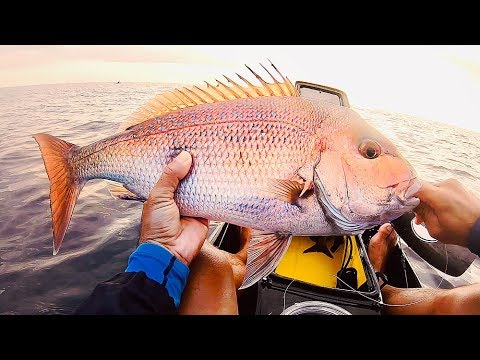 When They Hit On The Drop! Snapper On Plastics.