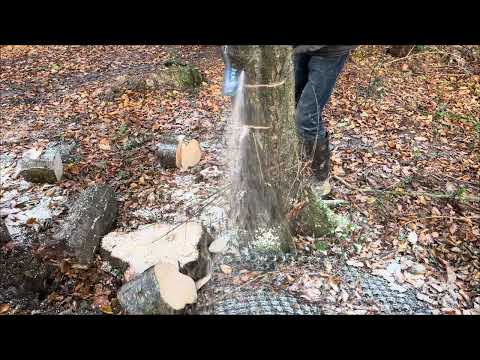 Panther 1/4 .043(1.1mm) Binding in the cut? Does the chain cut will on the pushing chain?