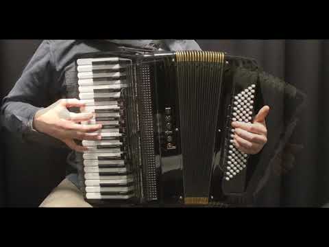 petosa AM-950 Folk Jazz  (24K Gold)