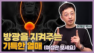 방광을 지켜주는 기특한 열매 (여성만 보세요)