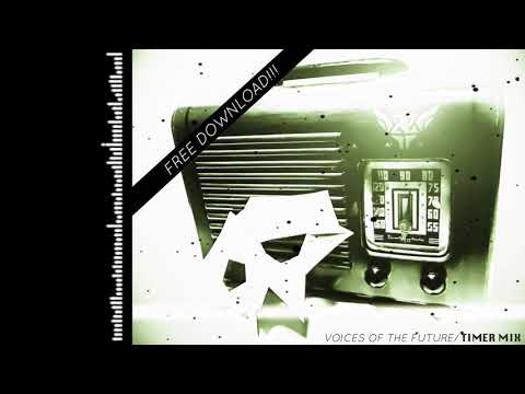 “Voices Of The Future / Timer Mix /Vyrtual Zociety“