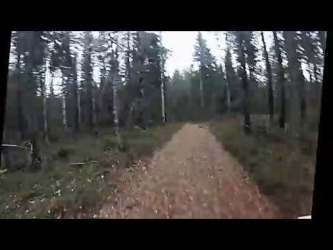 Kilsbergen Trailrun del 3 "ett lopp i Örebro Trail"