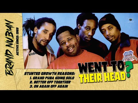 Did Success Go To BRAND NUBIAN's Head? What Happened? Stunted Growth Music