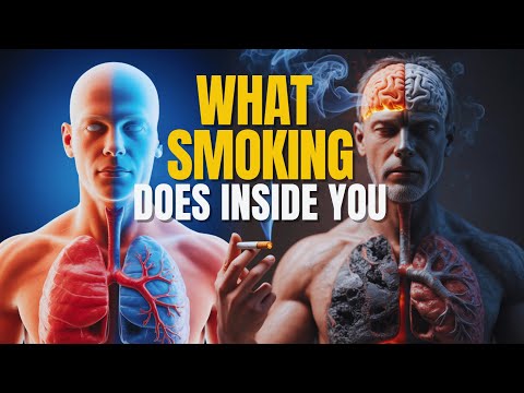 What Smoking Really Does to Your Body | 3D Medical Animation (Lungs, Brain & Heart Damage)
