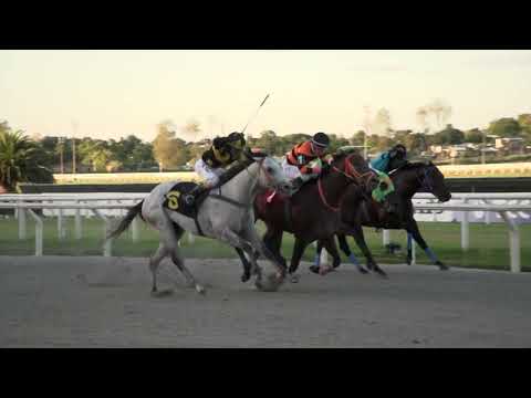 230218 c07 FORESTER P