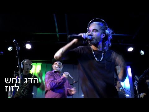 Hadag Nahash - Lazuz Live in New York 05/02/18 הדג נחש - לזוז