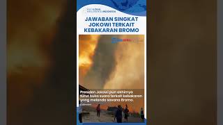 Respons Jokowi Disinggung soal Kebakaran Savana Bromo Buntut Foto Prewedding: Ya Dipadamkan