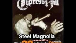 13 Cypress Hill Live Argentina - Steel Magnolia