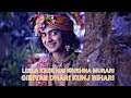 LEELA KARE HAI KRISHNA MURARI RADHA KRISHNA SERIAL SONG RIO ARTS