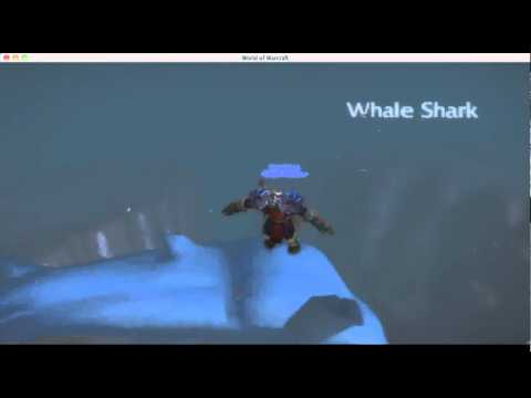 DEAD Whale Shark in Thousand Needles.mp4