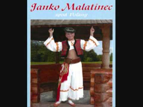 Javor, javor, suchá lieska