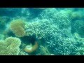 Snorkeling at Belitung Island - Mei 2014 - YouTube