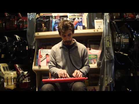 Обзор мелодики Hohner 9432