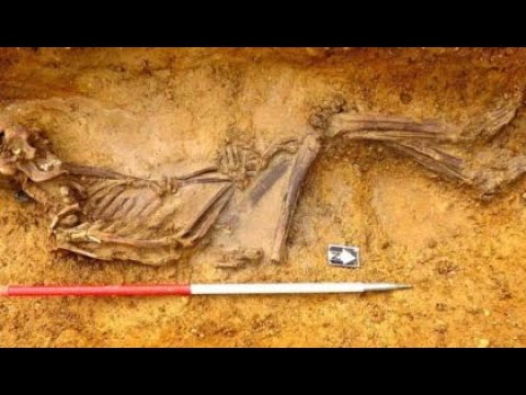 A Sarmatian Skeleton Discovered In England