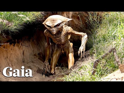 CLASSIFIED Story from AREA 51- The Escape of a QUATALOID