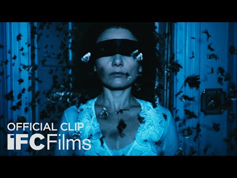 The Duke of Burgundy - Clip "Butterflies" I HD I IFC Films