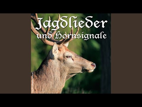 download lagu mp3 mp4 Es Blies Ein Jger Wohl In Sein Horn, download lagu Es Blies Ein Jger Wohl In Sein Horn gratis, unduh video klip Es Blies Ein Jger Wohl In Sein Horn