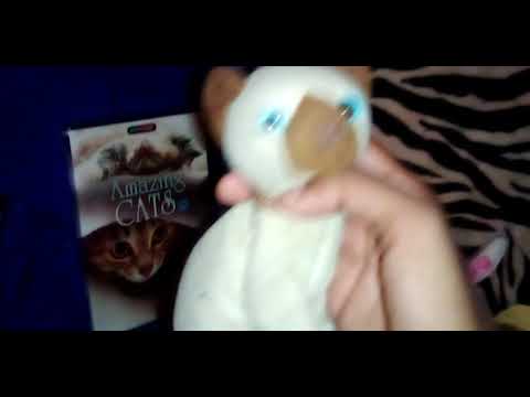 Why Would You Gave Siam A DVD.