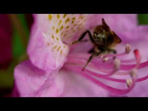 DJ Rynno & Sylvia - Chilling My Soul (Official Version)