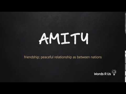 How to Pronounce AMITY in American English