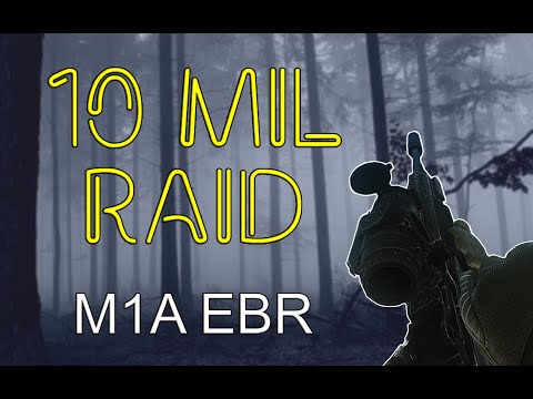 10 million rouble raid! Insomnia with an M1A EBR with Shturman wipe!  - Escape From Tarkov