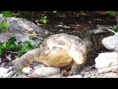 Прекрасный День