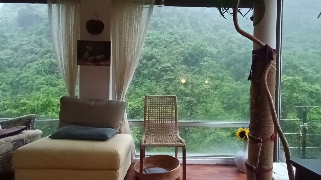 Michael Singer - Truth is simple, it's human mind that makes things complex and distorted