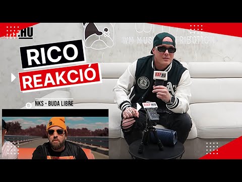 HIBRID BRO, NKS, PRIBELSZKI és CAANIS dalokra reagál RICO! 🔥