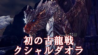 【MHWI PC のんびり実況プレイ#10】クシャルダオラ戦でまさかの・・・