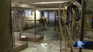 Hollywood actor takes on dairy farms video