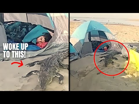 Epic CAMPING Fails | Tent Troubles Gone Wild