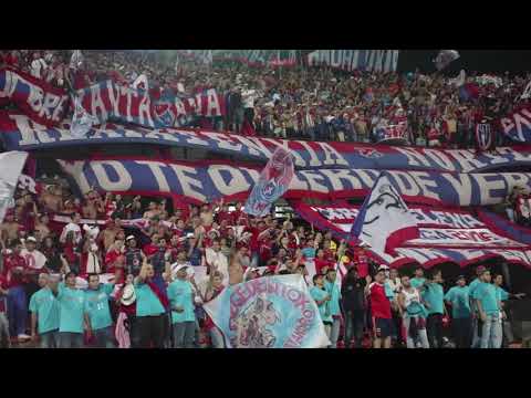 "De pequeño yo soy hincha del Medallo - Rexixtenxia Norte - Medellín vs América 2019" Barra: Rexixtenxia Norte • Club: Independiente Medellín