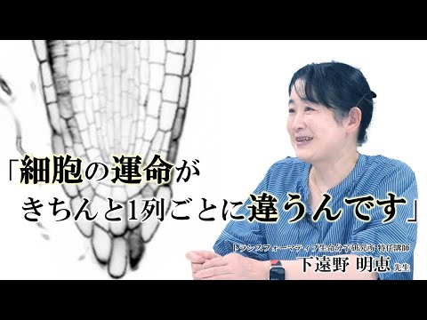 【研究室紹介】その美しさに感動！長寿命性、ストレス応答など、植物の巧みな生存戦略とは？（制作：鵜飼明歩）
