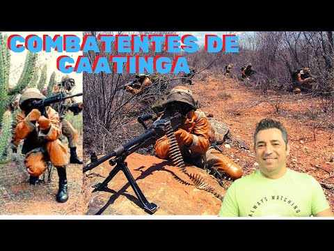 Português reage a Combatentes de Caatinga .