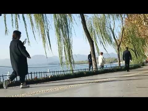 Yunyu China🇨🇳Hangzhou*[West Lake Beautiful Scenery Edition]*1 *Hongqi Beishan Street