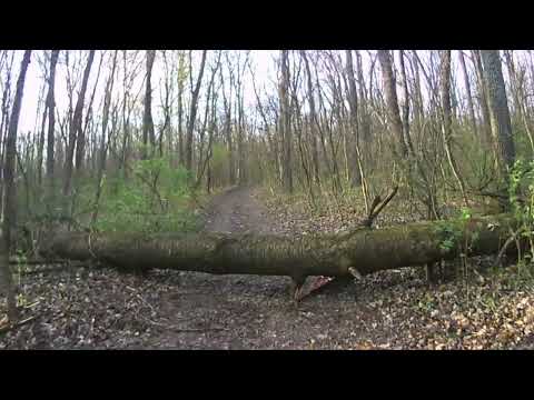 BikeRideUrban. ...Offroad prin padurea venetia Iasi