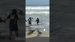 Download lagu laut jawa ngamuk lagi:4 wisatawan terseret ombak mp3