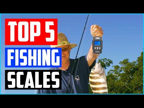 Top 5 Best Fishing Scales in 2023