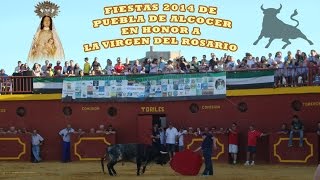 preview picture of video 'FIESTAS DE PUEBLA DE ALCOCER 2014 EN HONOR A LA VIRGEN DEL ROSARIO - GRUPO TODO ES POCO'